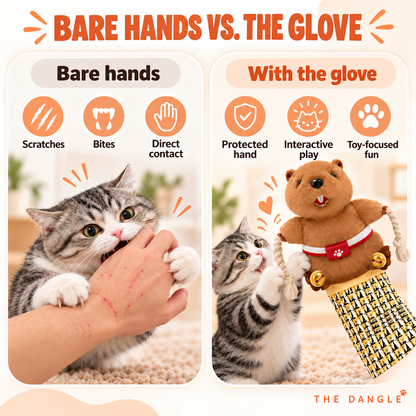 Anti-Scratch Cat Play Glove