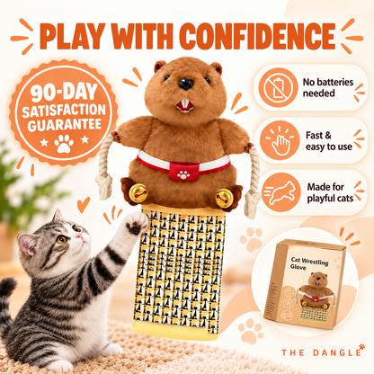 Anti-Scratch Cat Play Glove